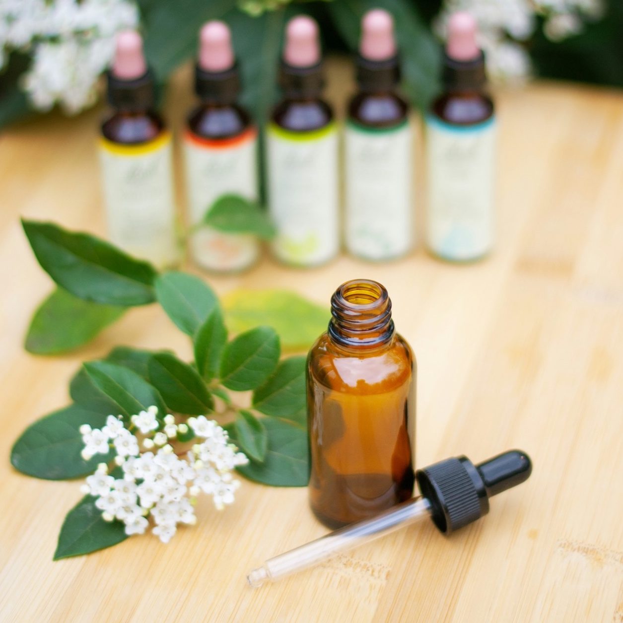 Homeopathy bottles and elderflowers